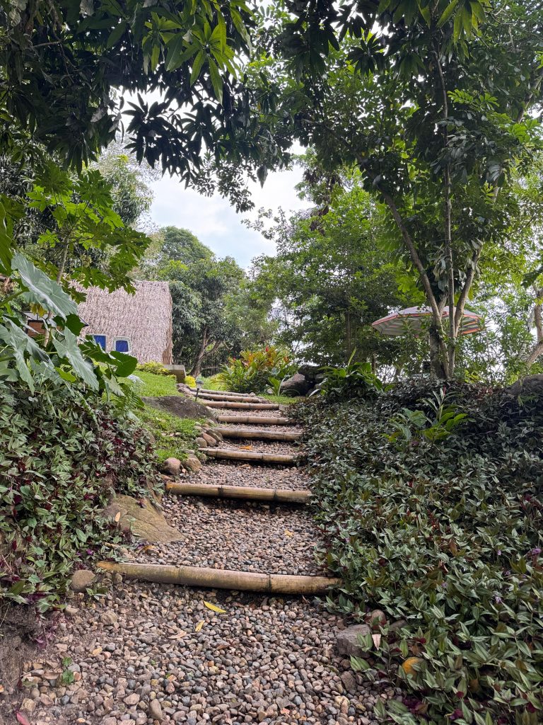 Cabaña Suite 3